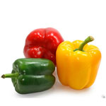 Pepper varieties