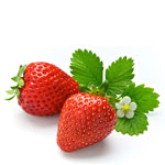 Variétés de fraises (fraise)
