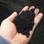 What kind of soil is needed?