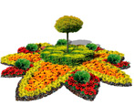 Beaux parterres de fleurs: caractéristiques d'aménagement dans l'aménagement paysager